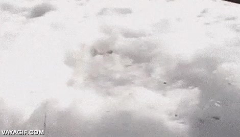 El portal dimensional que conecta la Tierra con el mundo de la adorabilidad máxima portal dimensional,tunel,nieve,gatos,gato,adorables
