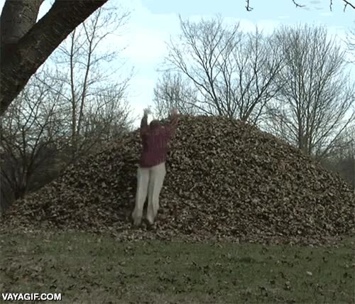 yo quiero hacer eso,monta&ntilde;a,hojas secas,oto&ntilde;o,desaparecer,nunca m&aacute;s lo volvimos a ver