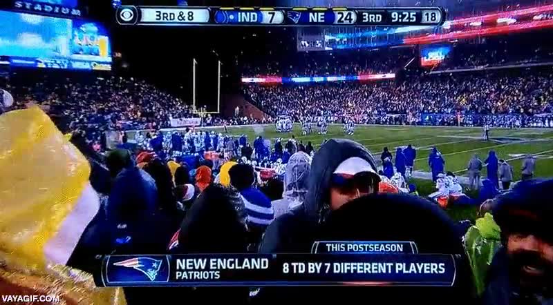 futbol americano,patriots,partido,camara,espontaneo,publico