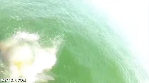 pescado,pescador,tiburon,monstruo marino,miedo,te has quedado sin captura