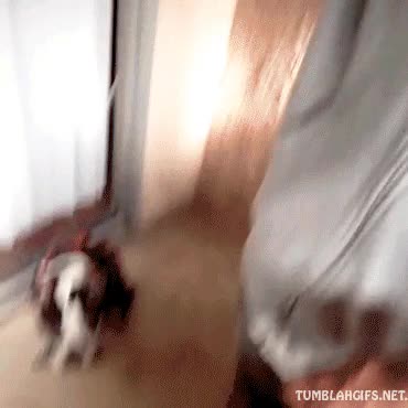 mordisco,destrozarse,migas,cereales,barra,barrita