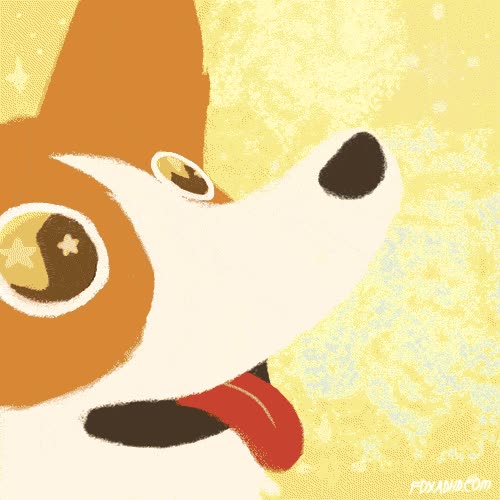 conexi&oacute;n inmediata,escapar,corgi,perro,robar,huir,tiene que ser m&iacute;o