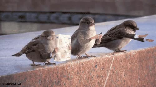 periodico,movil,humanos,brazos,gorrion,pajaros