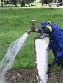 darse un ba&ntilde;ito,ba&ntilde;arse,agua,grifo,abrir,aprender,ba&ntilde;o