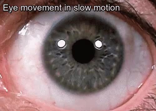 camara lenta,iris,cornea,movimiento,ojo,slow motion