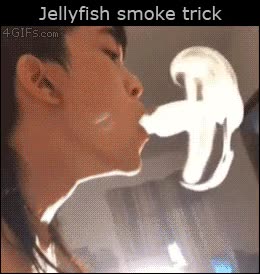 Los trucos con humo han alcanzado un nuevo nivel, con todos ustedes, la medusa medusa,efecto,truco,fumar,humo,jellyfish