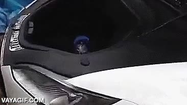 motor,cap&oacute;,coche,cero emisiones,ecologico,rueda de hamster