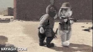 call of duty,armas,desierto,mision,disparar,animacion,conejos