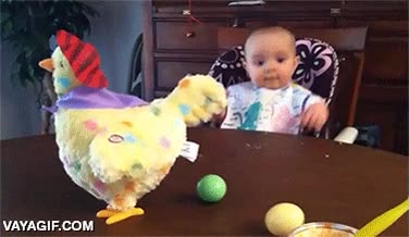 ponedora,emocion,ni&ntilde;o,lo flipa,juguete,huevos,gallina