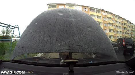 pobrecitos pasando fr&iacute;o,callejeros,gatos,coche,abrir,cap&oacute;,motor