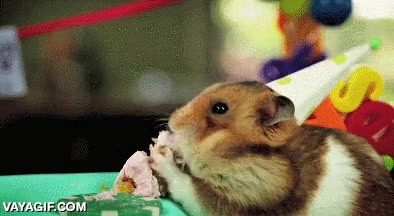 Enlace a Mientras tanto, en la fiesta de cumpleaños de mi amigo erizo