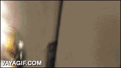 loro,atacar,testigos de jehova y dem&aacute;s,puerta por puerta