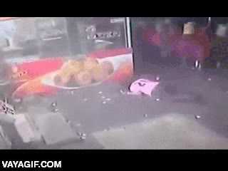 karma instantaneo,merecido,por tonto,al suelo,pegar,patada,perro