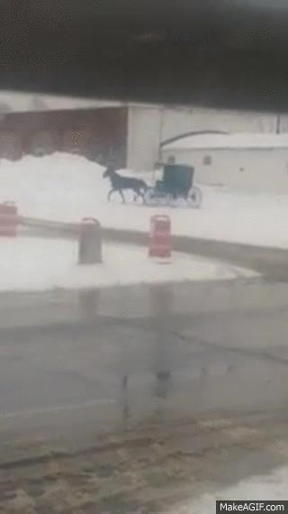 derrapes,derrapar,carruaje,drifting,carro,caballo