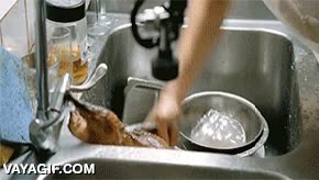demasiado crudo,cocina,no te fíes,devolver el plato,cocinar,chef,cocinero