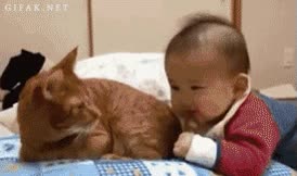 jugar,morder,ni&ntilde;o,bebe,gato,cola