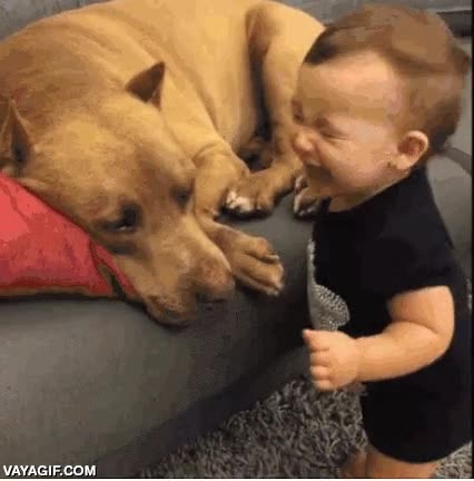 m&aacute;s peligrosas son las personas,besos,bebe,ni&ntilde;a,perro,besitos,la mate a besos