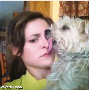 situación incómoda,lengua,perro,se ha bugueado,chica