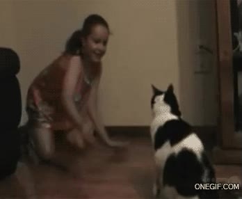 se lanza a muerte,provocar,pata,jugar,ni&ntilde;a,gato