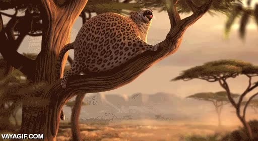 pelotas,inflados,gordos,esfericos,arbol,savana,leopardo