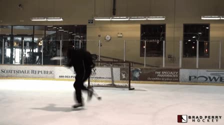 hockey sobre hielo,stick,lanzar,dar vueltas,saltar,truco,filigrana