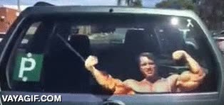 limpia-parabrisas,brazo,arnold schwarzenegger,coche