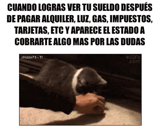 sueldo,pagar,alquiler,luz,gas,impuestos,tarjetas,aparecer,cobrar,dudas