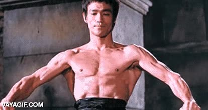 control del propio cuerpo,deltoides,voladora,ardilla,despliegue,bruce lee