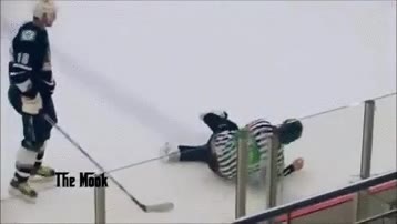 jugador,agresion,agredir,empujar,arbitro,pegarse,hockey sobre hielo,empujon