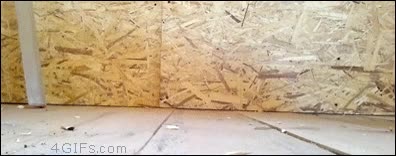 tuber&iacute;a,atrapado,caminar,de puntillas,gato,fail