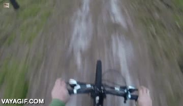 oso,perseguir,oso pardo,camino,todoterreno,mountain bike,descenso,si te pilla vas listo