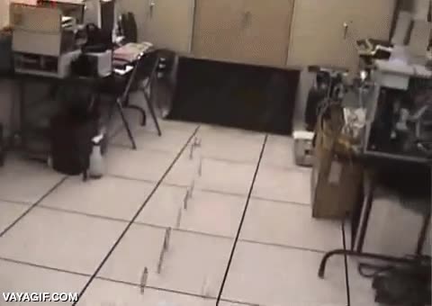 ingenieros,cds,discos,half pipe,grabadora o lo que sea,rollo skater