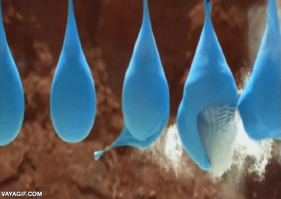 globos de agua,disparo,disparar,pistola,es una pedazo de magnum,tiro,atravesar