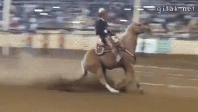caballo,velocidad,derrapar,frenar,drifting,jinete