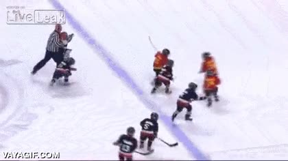 ayudar,llevar,portero,hockey sobre hielo,ni&ntilde;os,infantil,en brazos