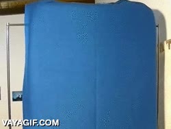 cama,tiende,sola,comodidad,hacerse,hacer la cama,dispositivo