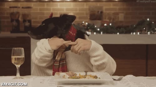 perros,cena,familiar,familia,comensales,comer