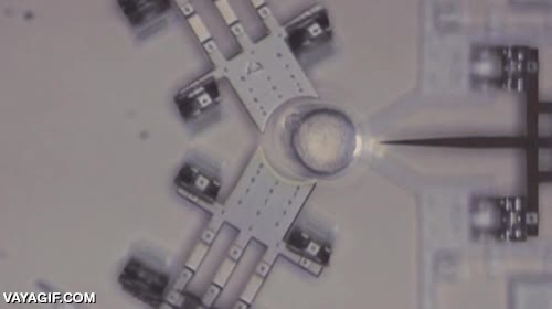 nanoinyector,nano-inyector,maquina,microscopica,tecnolog&iacute;a