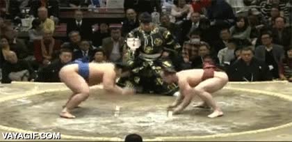 reflejos,sumo,combate,esquivar,apartarse,venga hasta luego