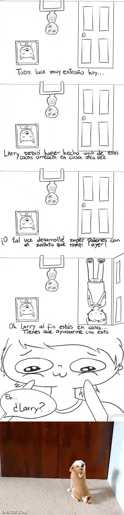 perro,cabeza,al reves,historia,cabeza girada