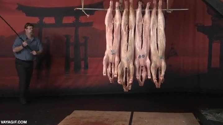 cortar,4 cerdos por la mitad,warrior nodachi,mango largo