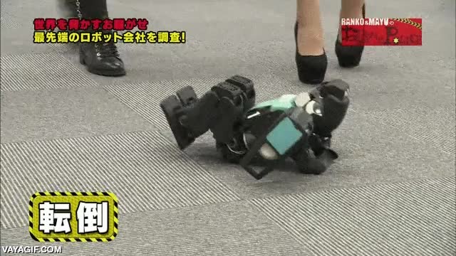 caer,robot,torpe,chutar,japon,levantarse solo,tecnolog&iacute;a