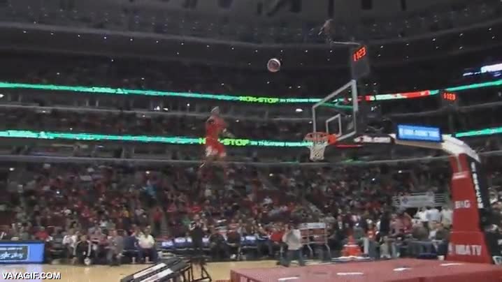 pase,mascota,pasar,pelota,lanzar,mucha distancia,colchoneta,saltar,volar,chicago bulls