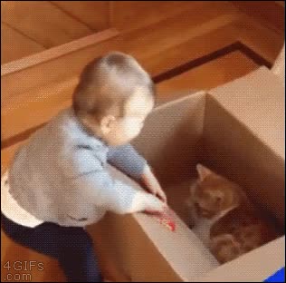 ni&ntilde;o,gato,torpe,adorablemente torpe,fail,de boca