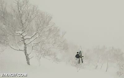 saltar,frontflip,aparece de la nada,nieve,cubierto,esqui,esquiador,arbol