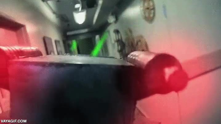 mucho mejor que la original,la guerra de las galaxias,star wars,gatitos,gato,naves,volar,x-wing,tie fighter