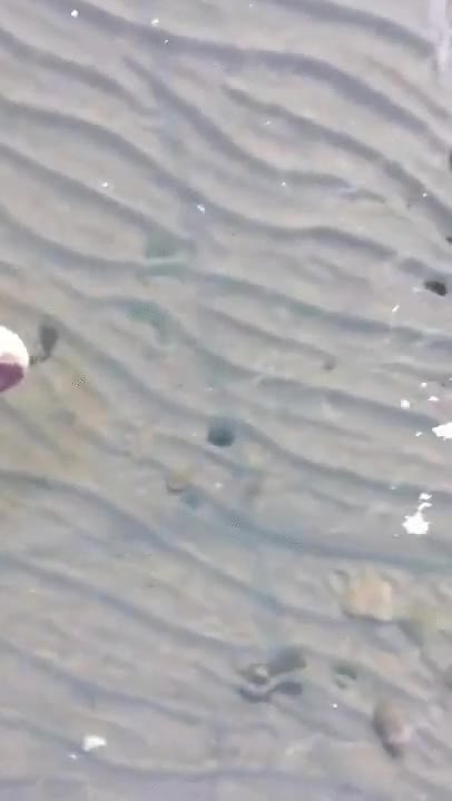 lago,cristalino,hielo,helado,superficie,transparente