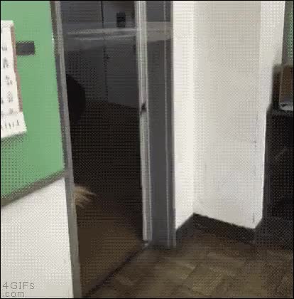 broma,gracioso,troll,trolleada,cinta adhesiva