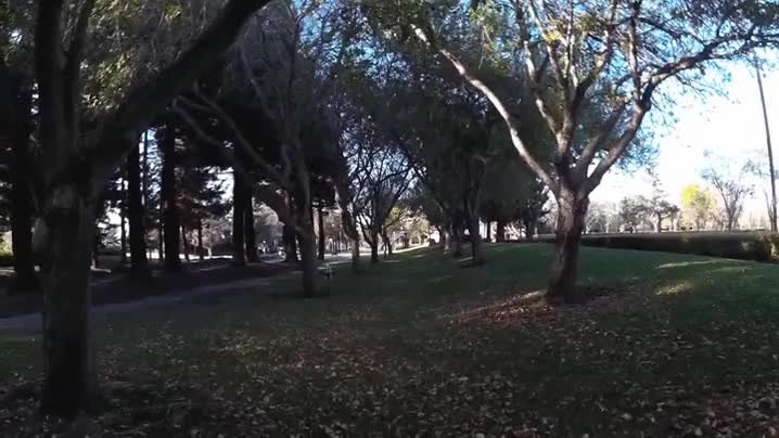 star wars,soldado imperial,la guerra de las galaxias,dron