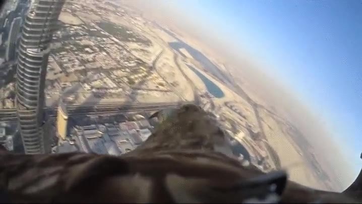 vista de aguila,literalmente,subir,volar,edificio m&aacute;s alto de la ciudad,gopro